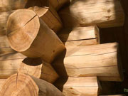 Dřevostavby - ekologický způsob bydlení